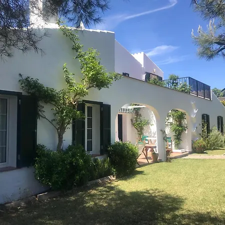 Albatros Villa *